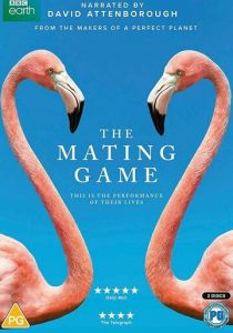 Брачная игра 2021