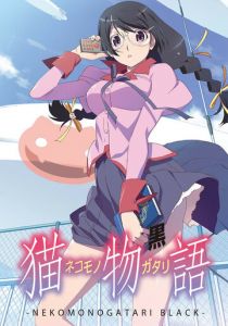 История кошки 2012