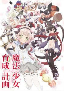 Проект по обучению волшебниц 2016