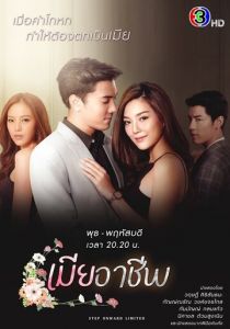 Профессиональная жена 2020