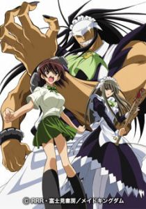 Горничный в маске 2008