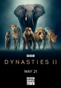 Dynasties II 2022