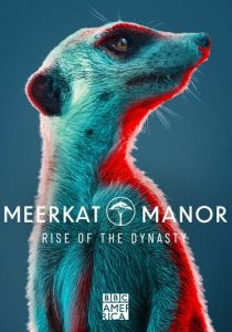 Meerkat Manor: Rise of the Dynasty 2021