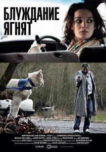 Блуждание ягнят 2011