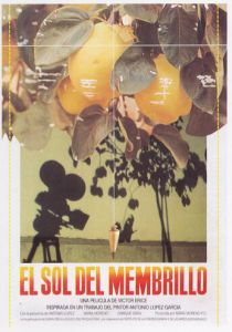 Солнце в листве айвового дерева 1992