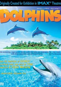 Дельфины 2000