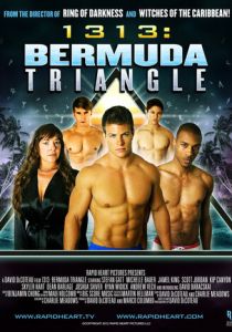 1313: Бермудский треугольник 2012