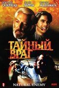 Тайный враг 1996