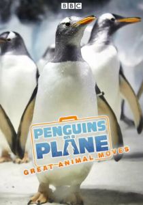 Пингвины на самолете: Передвижение великих животных 2014