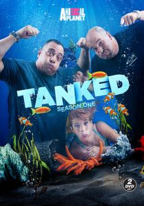 Аквариумный бизнес 2011