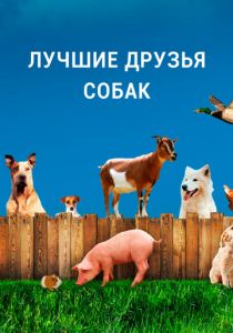 Лучшие друзья собак 2014
