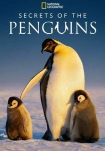 Secrets of the Penguins 2025