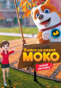 Корги по имени Моко. Новый питомец 2021