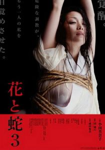 Цветок и змея 3 (Фильм 2010)