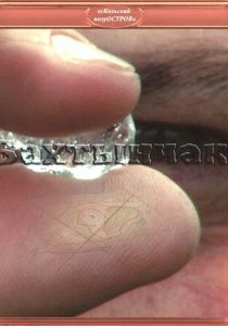 Бахтынчак (Фильм 2010)