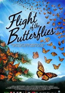 Полет бабочек (Фильм 2012)
