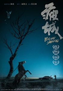 Убей тень (Фильм 2017)